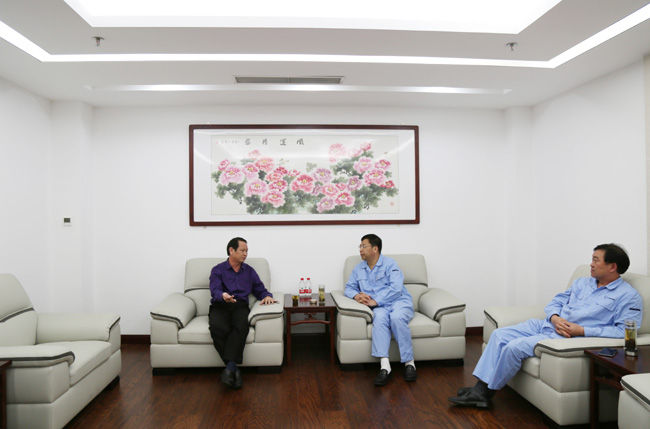 縣委書記王玉峰到我公司調研