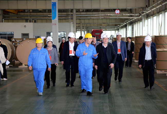 駐洛陽(yáng)市省、市人大代表到萬(wàn)基控股集團(tuán)參觀